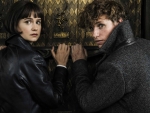 Fantastic Beasts The Crimes Of Grindelwald