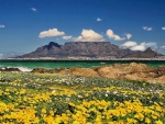 Table Mountain