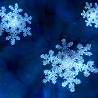 Snow Flake