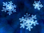 Snow Flake
