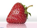 Erbeere / Strawberry