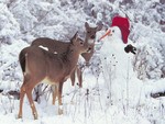 Deer on the snowman / Rehe am Schneemann