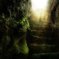 Magic World green / Magische Welt gruen