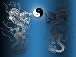 ying yang dragons