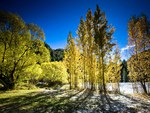 Arrowtown Autumn