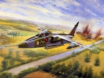 Sepecat Jaguar Artwork