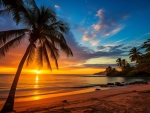 Tropical sunset
