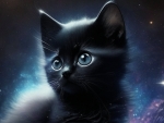 Space Kitten