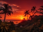 Sunset in the tropics