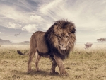 Lion