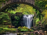 Jesmond Dene Waterfall, England