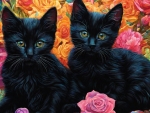 Beautiful Black Kitten's