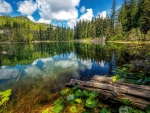 Hadikin Lake, Vancouver Island, British Columbia