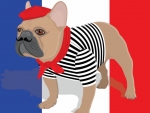 Frenchie