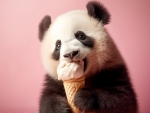 Panda Enjoys An Ice Cream