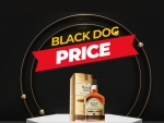 Black Dog Price i