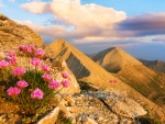 Pirin Mountains in Bulgaria