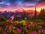 Mount Baker Sunset, Washington