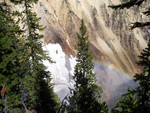 Rainbow at Yellowstone National Park