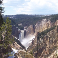 Yellowstone