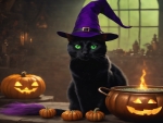 Halloween Cat's