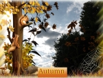 Beautiful autumn