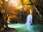 Waterfall in autumn forest