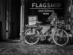 Flowery Bike - Amsterdam