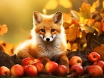 Autumn Fox Enjoying Mild Harvest