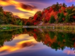 Colorful autumn trees by the lake