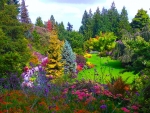 Queen Elizabeth Garden, Vancouver