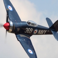 Create Stunning AI Carousels for Free with Our Carousel Generator