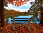 Autumn at the lake