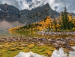 Lake Arnica, Banff National Park, Alberta