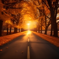 Village road in autumn afternoon