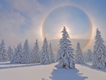 Winter Halo