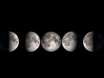 Moon Phases