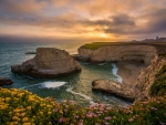 Shark Fin Cove Davenport California