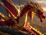 Maroon And Gold Dragon