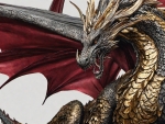 Maroon And Gold Dragon