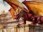 Maroon And Gold Dragon