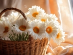 Bouquet of daisies