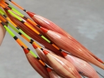 Details and techniques for choosing effective six-pole fishing buoys