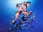 Namor The Submariner