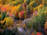 The fall colors in northwest Michigan