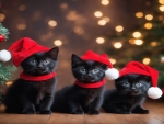 Kittens Of Christmas