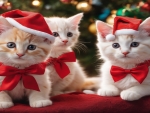 Kittens Of Christmas