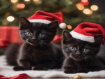 Kittens Of Christmas