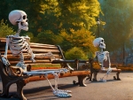 Skeletons In The Park