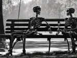 Skeletons In The Park
